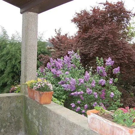 招待所 卡萨达奎因塔马丁霍酒店 维拉·雷阿尔