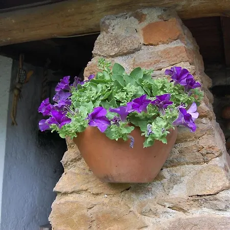 Casa Da Quinta De S. Martinho