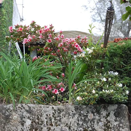 Maison d'hôtes Casa Da Quinta De S. Martinho