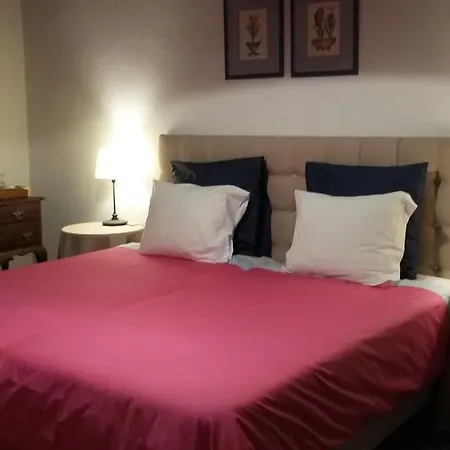 Casa Da Quinta De S. Martinho 4*