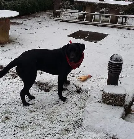 Casa Da Quinta De S. Martinho 4* Vila Real