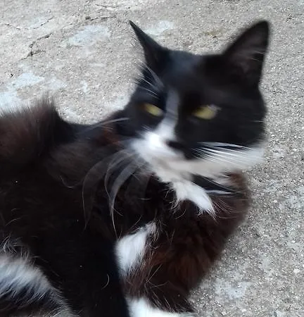 招待所 卡萨达奎因塔马丁霍酒店 4*