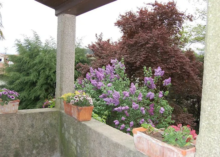 בית הארחה Casa Da Quinta De S. Martinho וילה ריאל