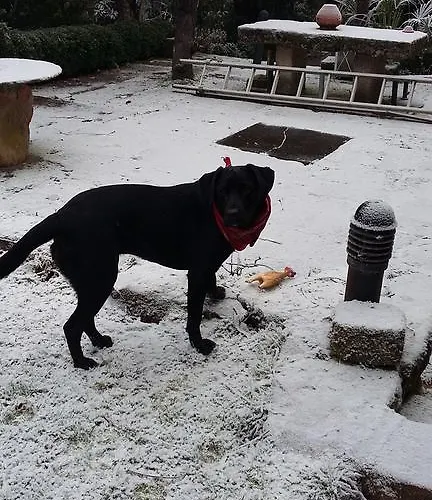 Casa Da Quinta De S. Martinho 4* 빌라레알