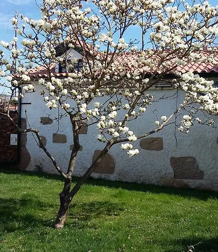 Casa Da Quinta De S. Martinho