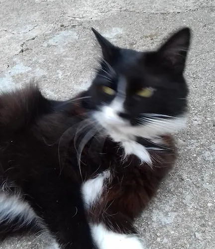 Penzion Casa Da Quinta De S. Martinho 4*